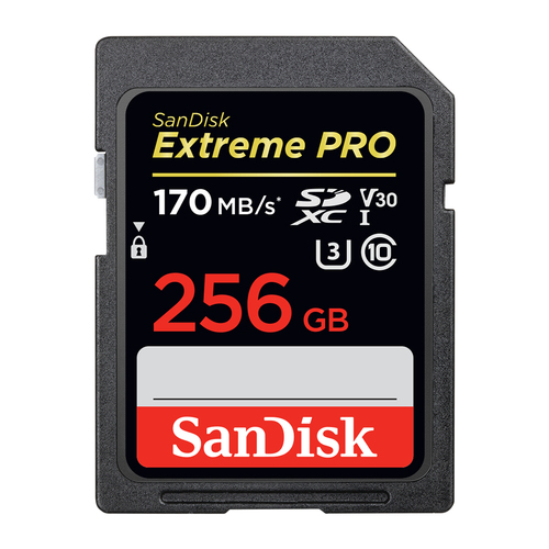 כרטיז זכרון | EXTREME PRO 256 GB | מיוזיקזול כלי נגינה