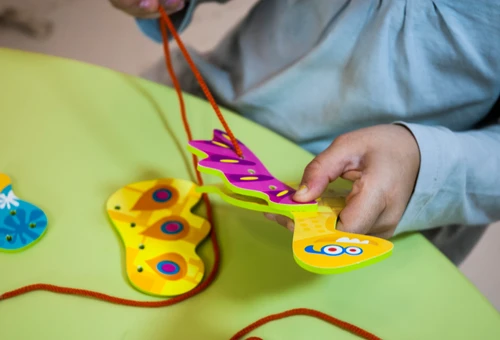 משחק שרוכים פלקסי דינו 