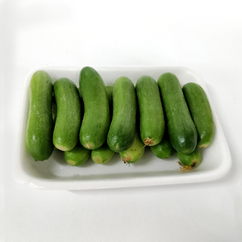 מלפפון בייבי (יח