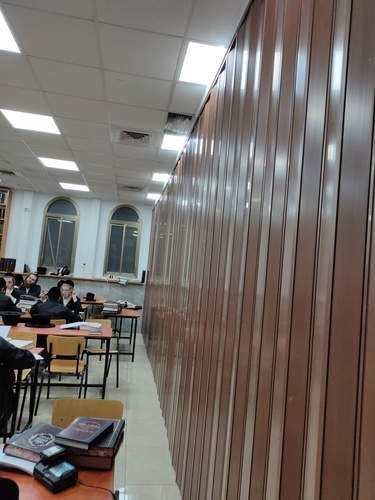 דלתות מתקפלות, מחיצות, מחיצות הרמוניקה, מחיצות ADS