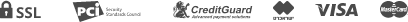 payment_icon