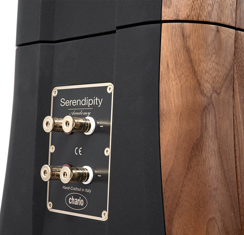 זוג רמקולים רצפתיים Chario Academy Serendipity