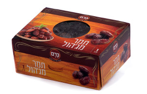 תמר מג