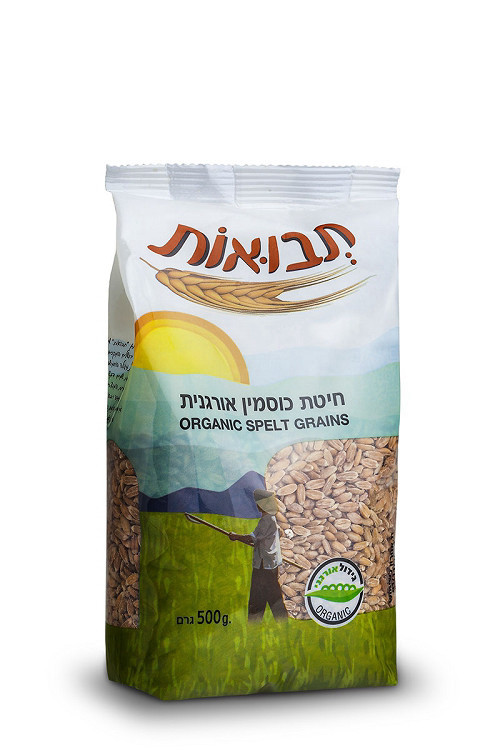 חיטת כוסמין