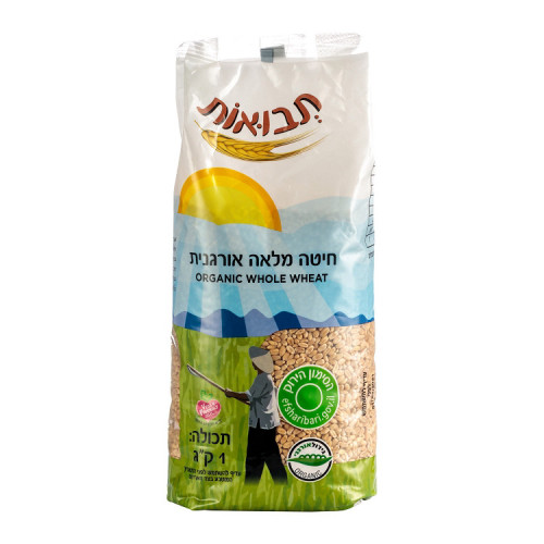 חיטה מלאה אורגנית תבואות