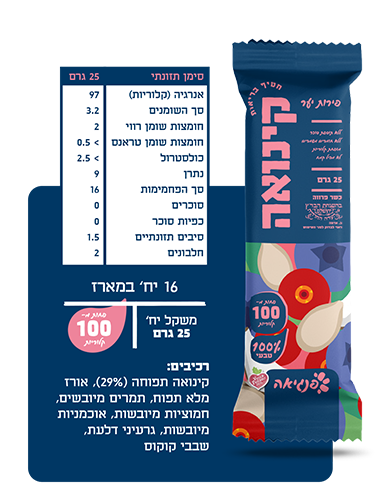 חטיף קינואה ופירות יער