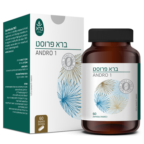 ברא פרוסט