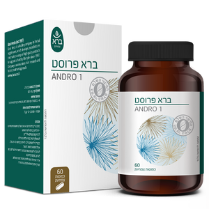 ברא פרוסט