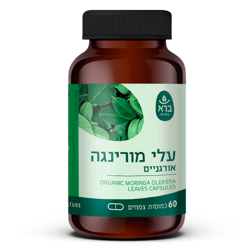 מורינגה אוליפרה אורגנית 60 כמוסות ברא