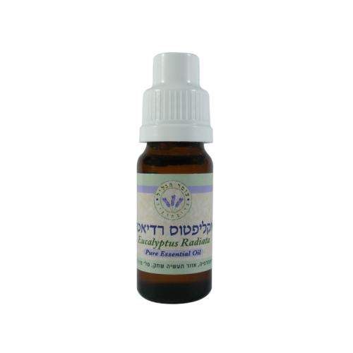 שמן אתרי אקליפטוס רדיאטה 10 מ
