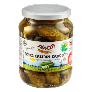 מלפפון במלח אורגני