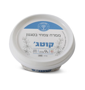 קוטג