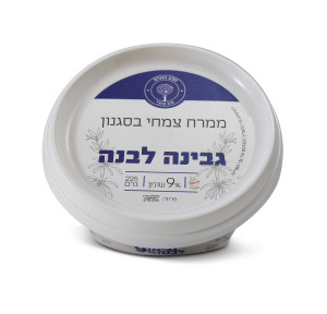 ממרח צמחי בסגנון גבינה לבנה