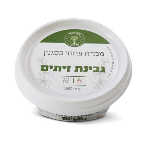 גבינת זיתים צמחית