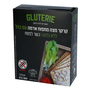 מצה ללא גלוטן עם בצל
