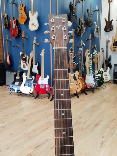 Yamaha FS100C 