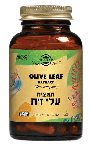 עלי זית תמצית תקנית Olive Leaf (Olea europaea) SFP | כמוסות 60 | 250 מ"ג