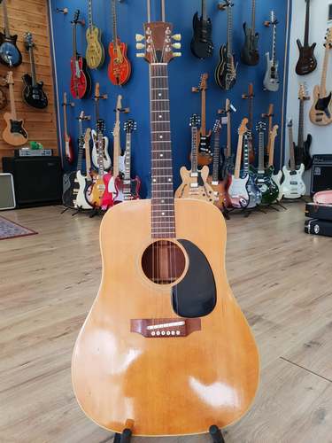 GIBSON J-50 1969 Original