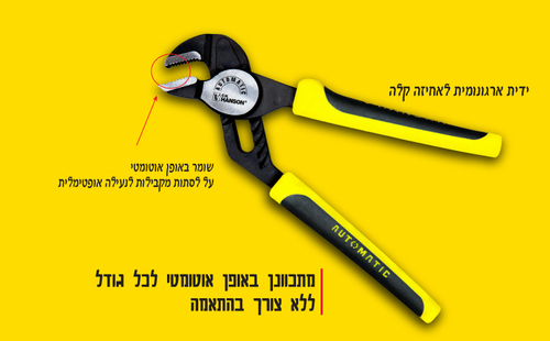 פלייר-משאבות 