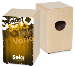 קחון + נרתיק פד וספר לימוד SELA Varios Gold Bundle SE132EN