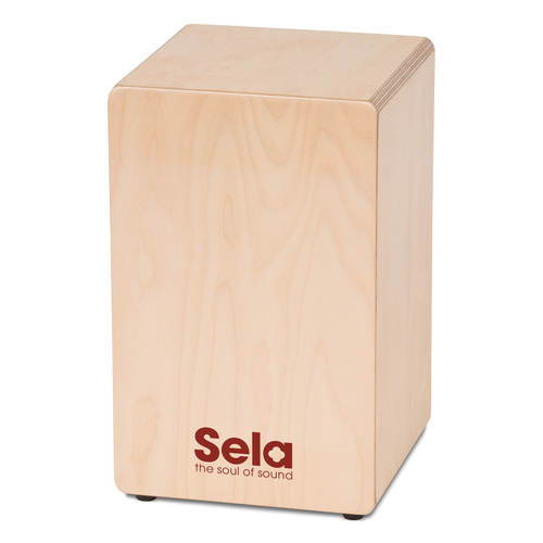 קחון + נרתיק פד וספר לימוד SELA Primera Bundle SE152EN