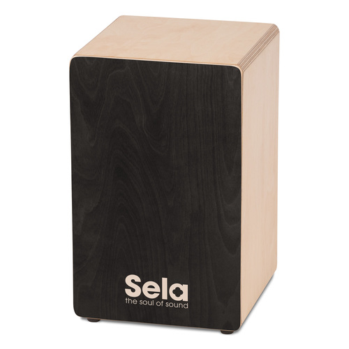קחון + נרתיק פד וספר לימוד SELA Primera Black Bundle SE157EN