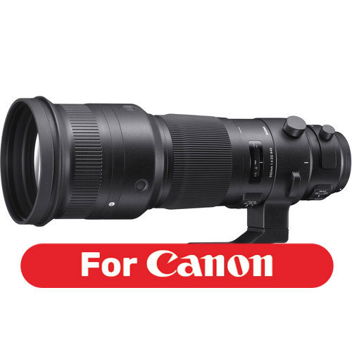 Sigma 500mm F4 DG OS HSM Sports