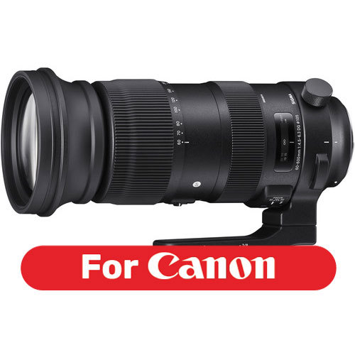 Sigma 60-600mm F4.5-6.3 DG OS HSM S רשמי