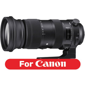 Sigma 60-600mm F4.5-6.3 DG OS HSM S רשמי