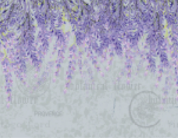 12094a2e3d2921ecfdc4ac4168917270