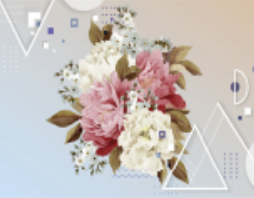 D43f751726ec4fe02c2649a6f009da4c