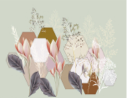 2b79e2872e092752b0f8a86bb6a6f276