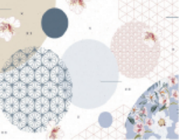 D202e72ef84a8918c49e5e04b28811c2