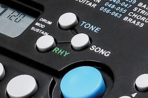 אורגנית Kurzweil KP10