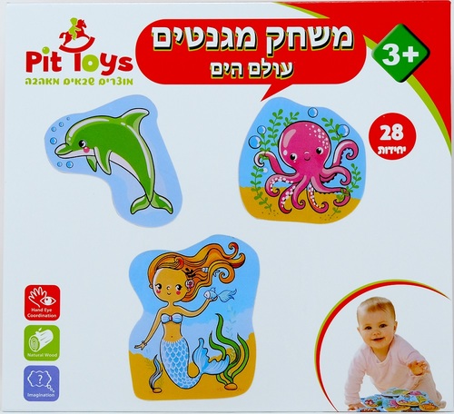 קופסאת מגנטים למשחק ע
