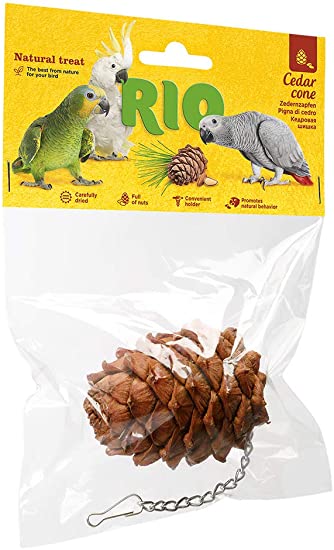 אצטרובל לציפורים