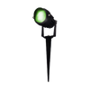 יקינטון 5W Green  