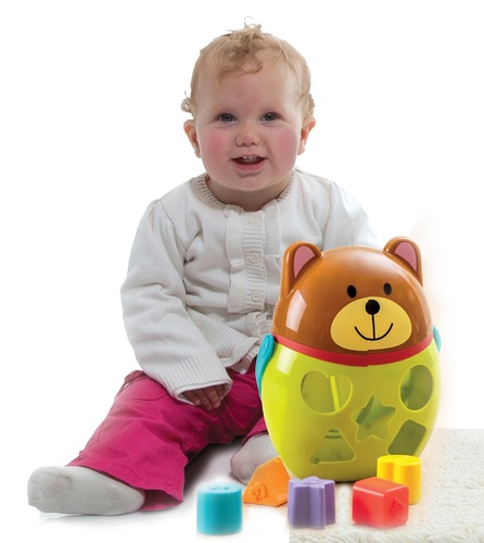 דב התאם צורה עם ידית נשיאה ו 5 חלקים להתאמה