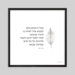תמונה ממוסגרת מכל הרגעים בזמן