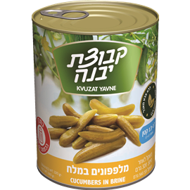מלפפונים במלח- יבנה (13-17 יח