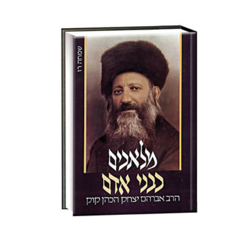 מלאכים כבני אדם | שמחה רז