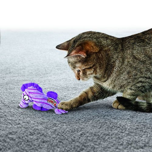 משחק לחתול תמנון CRL43