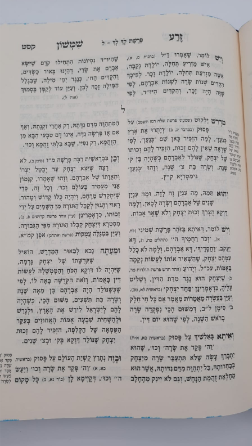 זרע שמשון (2 כרכים)