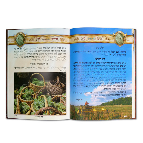מועדי ישראל לאבות ובנים (6 כרכים)