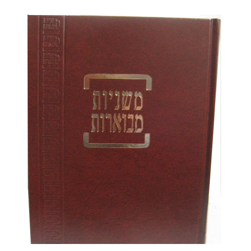 משניות קהתי (13 כרכים)