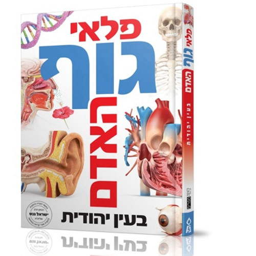 פלאי גוף האדם בעין יהודית