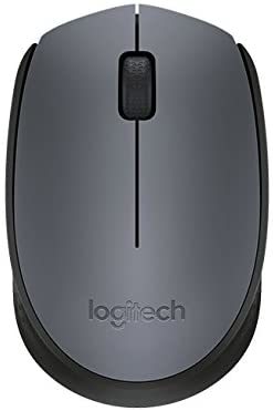 Logitech Wireless M170