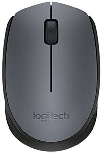 Logitech Wireless M170