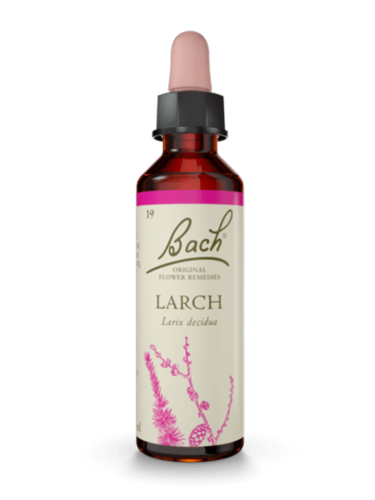 Larch  20 ml  תמצית מס' 19 | פרחי באך