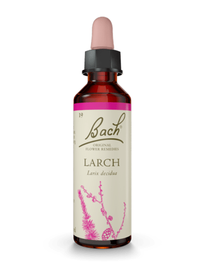 Larch  20 ml  תמצית מס